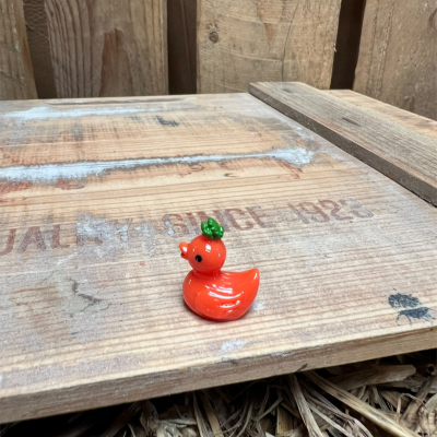 Carrot Rubber Duck BOTANICAL BESTIES PLANT COMPANIONS