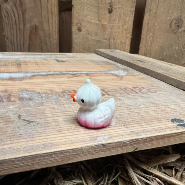 Garlic Rubber Duck BOTANICAL BESTIES PLANT COMPANIONS