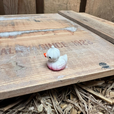 Garlic Rubber Duck BOTANICAL BESTIES PLANT COMPANIONS