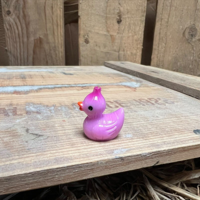 Red Onion Rubber Duck BOTANICAL BESTIES PLANT COMPANIONS