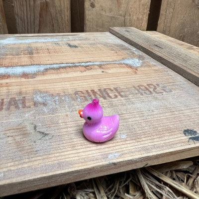 Red Onion Rubber Duck BOTANICAL BESTIES PLANT COMPANIONS