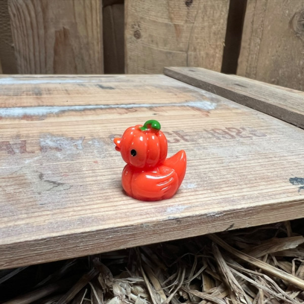Pumpkin Rubber Duck BOTANICAL BESTIES PLANT COMPANIONS