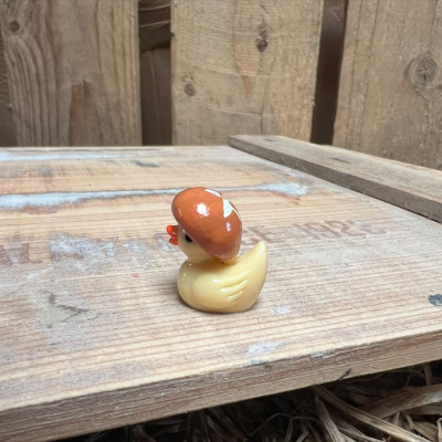 Mushroom Rubber Duck BOTANICAL BESTIES PLANT COMPANIONS