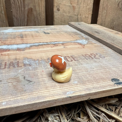 Mushroom Rubber Duck BOTANICAL BESTIES PLANT COMPANIONS