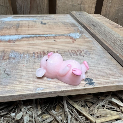 Laying Down Big Pig BOTANICAL BESTIES PLANT COMPANIONS