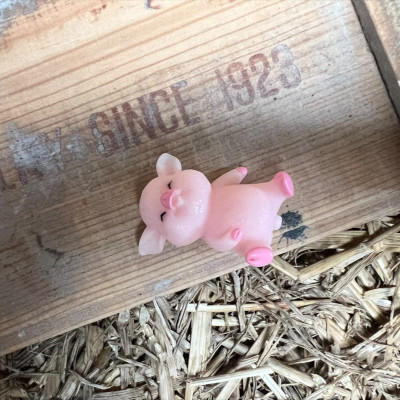 Laying Down Big Pig BOTANICAL BESTIES PLANT COMPANIONS