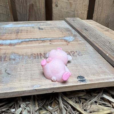 Laying Down Big Pig BOTANICAL BESTIES PLANT COMPANIONS