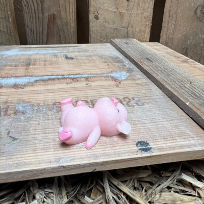 Laying Down Big Pig BOTANICAL BESTIES PLANT COMPANIONS