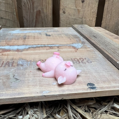 Laying Down Big Pig BOTANICAL BESTIES PLANT COMPANIONS