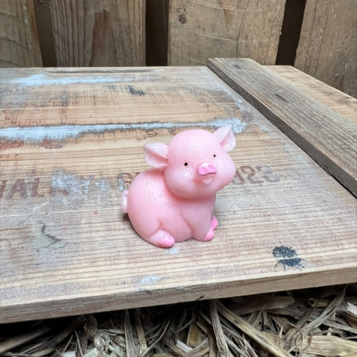 Standing Big Pig BOTANICAL BESTIES PLANT COMPANIONS