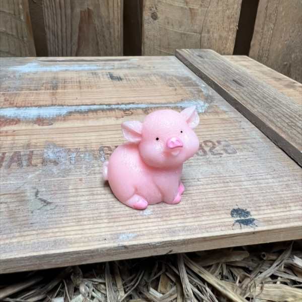 Standing Big Pig BOTANICAL BESTIES PLANT COMPANIONS