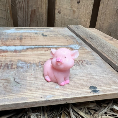 Standing Big Pig BOTANICAL BESTIES PLANT COMPANIONS