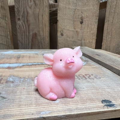 Standing Big Pig BOTANICAL BESTIES PLANT COMPANIONS