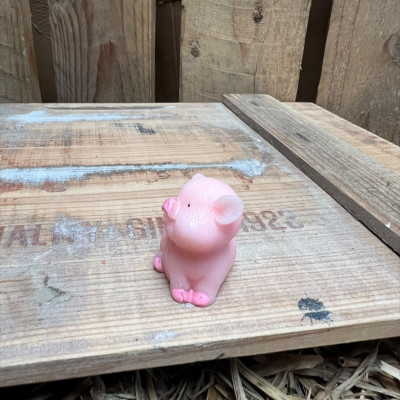 Standing Big Pig BOTANICAL BESTIES PLANT COMPANIONS
