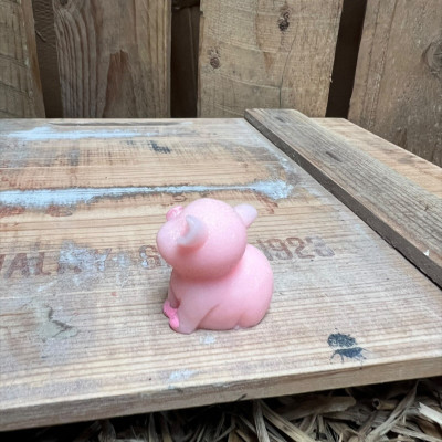 Standing Big Pig BOTANICAL BESTIES PLANT COMPANIONS