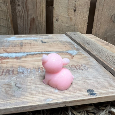 Standing Big Pig BOTANICAL BESTIES PLANT COMPANIONS