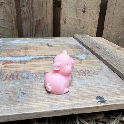 Standing Big Pig BOTANICAL BESTIES PLANT COMPANIONS