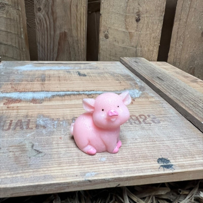 Standing Big Pig BOTANICAL BESTIES PLANT COMPANIONS