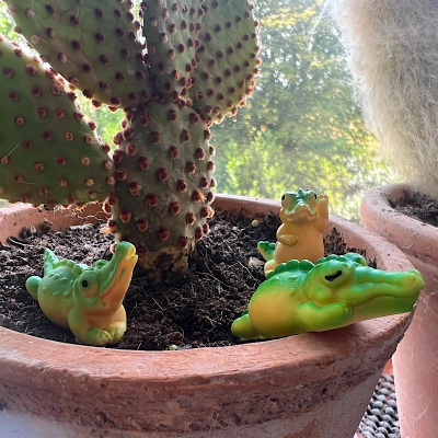 BOTANICAL BESTIES - PLANT COMPANIONS AFRICAN ANIMALS MIX