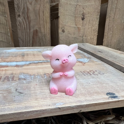 Sitting Big Pig BOTANICAL BESTIES PLANT COMPANIONS