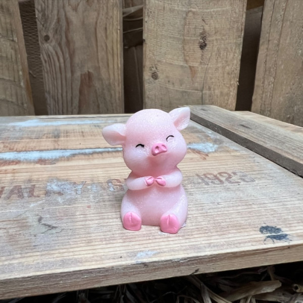 Sitting Big Pig BOTANICAL BESTIES PLANT COMPANIONS