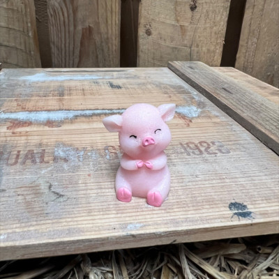 Sitting Big Pig BOTANICAL BESTIES PLANT COMPANIONS