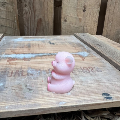 Sitting Big Pig BOTANICAL BESTIES PLANT COMPANIONS