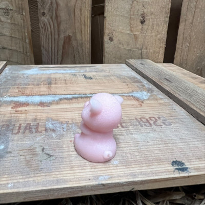 Sitting Big Pig BOTANICAL BESTIES PLANT COMPANIONS