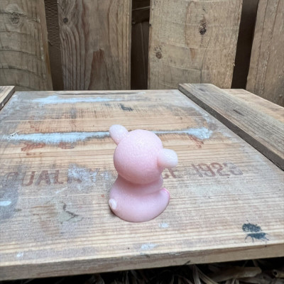 Sitting Big Pig BOTANICAL BESTIES PLANT COMPANIONS
