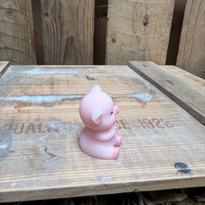 Sitting Big Pig BOTANICAL BESTIES PLANT COMPANIONS
