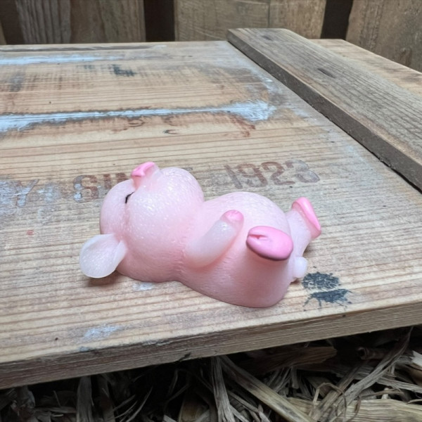Laying Down Big Pig BOTANICAL BESTIES PLANT COMPANIONS