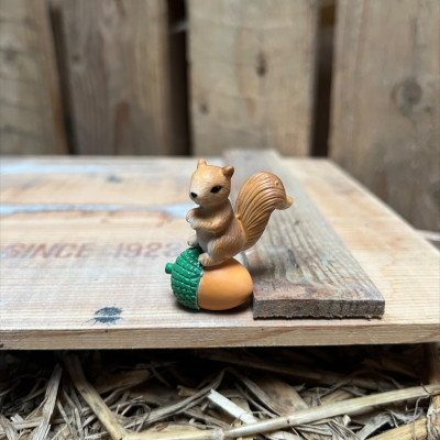 Squirrel Rolling on acon BOTANICAL BESTIES PLANT COMPANIONS