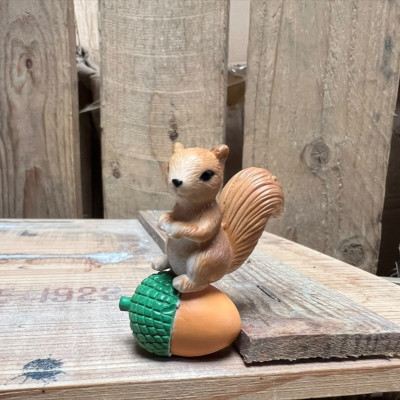 Squirrel Rolling on acon BOTANICAL BESTIES PLANT COMPANIONS