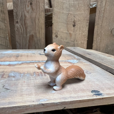 Squirrel Climbing BOTANICAL BESTIES PLANT COMPANIONS