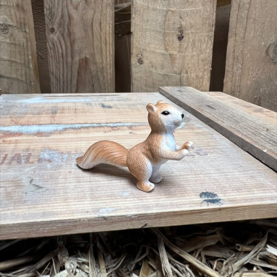 Squirrel Climbing BOTANICAL BESTIES PLANT COMPANIONS