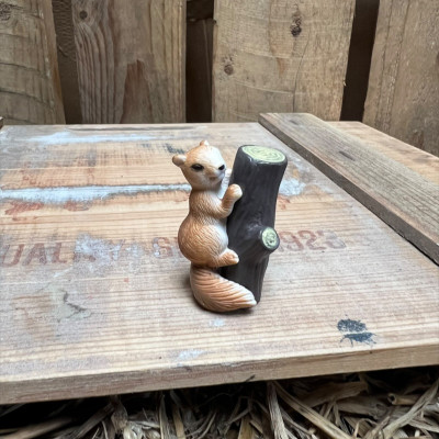Squirrel up a tree / log BOTANICAL BESTIES PLANT COMPANIONS