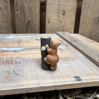 Squirrel up a tree / log BOTANICAL BESTIES PLANT COMPANIONS