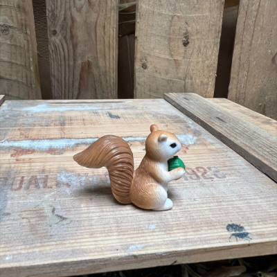 Squirrel with Little Acon BOTANICAL BESTIES PLANT COMPANIONS