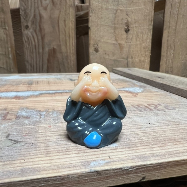 Grey Buddha BOTANICAL BESTIES PLANT COMPANIONS
