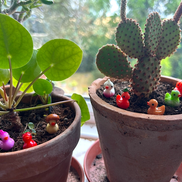 BOTANICAL BESTIES - PLANT COMPANIONS RUBBER DUCKS AS VEGETABLES