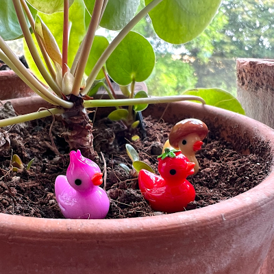 BOTANICAL BESTIES - PLANT COMPANIONS RUBBER DUCKS AS VEGETABLES