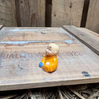 Orange Buddha BOTANICAL BESTIES PLANT COMPANIONS