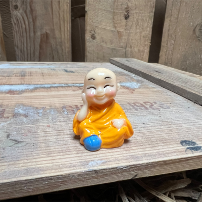 Orange Buddha BOTANICAL BESTIES PLANT COMPANIONS