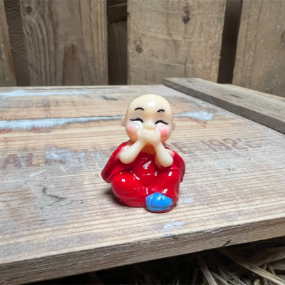 Red Buddha BOTANICAL BESTIES PLANT COMPANIONS