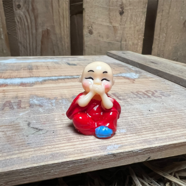 Red Buddha BOTANICAL BESTIES PLANT COMPANIONS