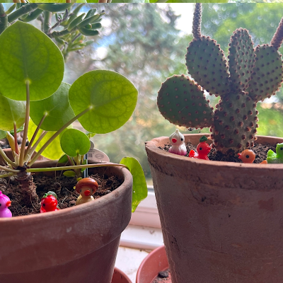 BOTANICAL BESTIES - PLANT COMPANIONS RUBBER DUCKS AS VEGETABLES