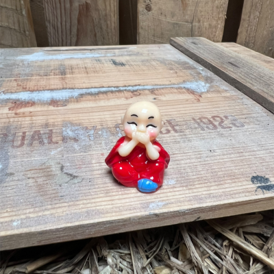 Red Buddha BOTANICAL BESTIES PLANT COMPANIONS