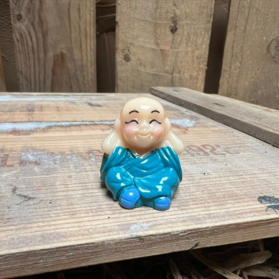 Blue Buddha BOTANICAL BESTIES PLANT COMPANIONS