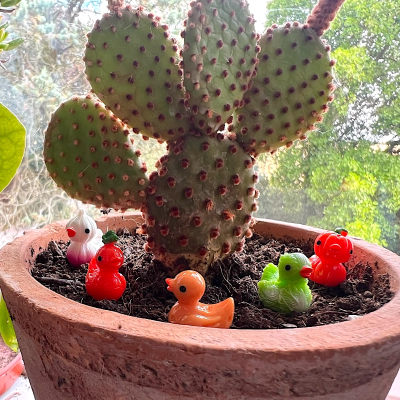 BOTANICAL BESTIES - PLANT COMPANIONS RUBBER DUCKS AS VEGETABLES