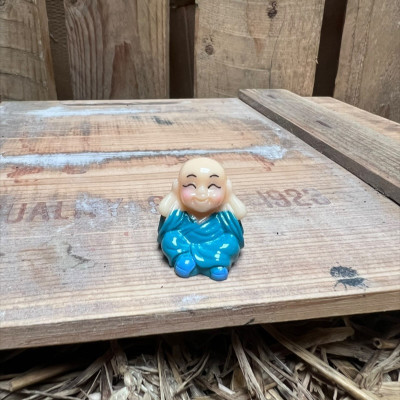 Blue Buddha BOTANICAL BESTIES PLANT COMPANIONS